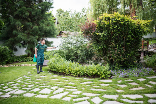 Best Commercial Pest Control Services  in Sa De Oro Mount Helix, CA