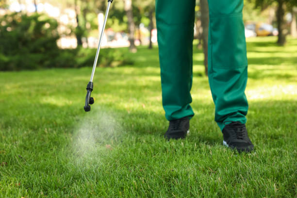 Pest Control for Restaurants in Casa De Oro Mount Helix, CA