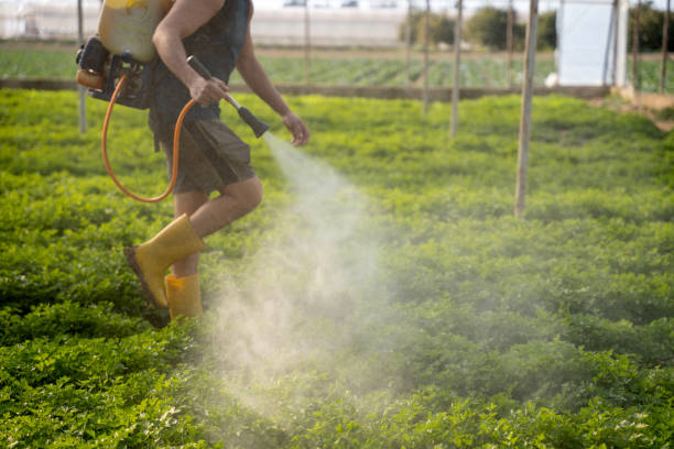 Pest Control Cost in Casa De Oro Mount Helix, CA