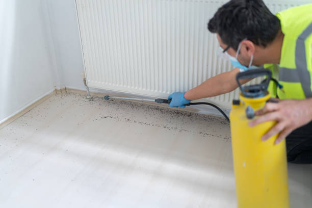 Best Cockroach Control Services  in Sa De Oro Mount Helix, CA